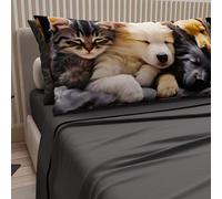 Petti Artesanos Italianos - Sábanas con Estampado de Animales (Gatos y Perros) en algodón con Fundas de Almohada con Estampado Digital, Juego de sábanas Individuales, Gris Oscuro, 100%