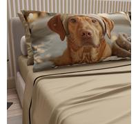 PETTI ARTIGIANI ITALIANI - Sábanas con Estampado de Animales y Perros en algodón con Fundas de Almohada con Estampado Digital, Juego de sábanas Dobles, Color Gris Paloma, 100%