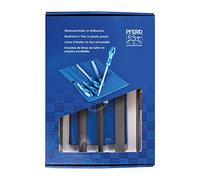 Pferd Juego de 5 Limas de Taller para Metal con Mango Ergonómico, Corte entrefino 2, Longitud 250 millimeters, en Estuche enrollable 542 Wru 250 millimeters C2 en Caja de Cartón