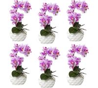 Phalaenopsis, real touch altura 330 mm, UE 6 unid.