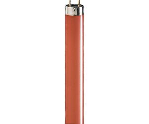 Phi.LM Lámpara fluorescente 36 W Rojo TL-D 36 W/15
