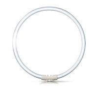 Philips 2GX13 60W 840 Anillo fluorescente Master TL5 EC:EPREL:423625