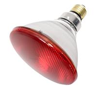 Philips Bombilla infrarroja PAR38 IR175 175W E27 230V con reflector rojo 60053015