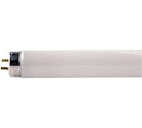 Philips Tubo fluorescente 63177040 T8 18W G13 590 mm 6500K (865)