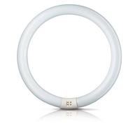 Philips Aro fluor. G10q 32W 865 Master Circular TL-E EC:EPREL:423510