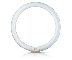 Philips Aro fluor. G10q 40W 830 Master Circular TL-E EC:EPREL:423511