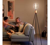 Philips Bombilla LED ahumada Giant Globe E27 6,5 W