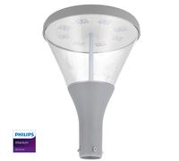 Philips Farola LED para Jardín 65W 170Lm/W IP65 5000K Blanco Frío