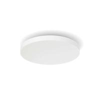 Philips Hue Datura - Lámpara LED inteligente de techo, diámetro 38 mm, blanca 929003736201