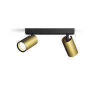Philips Idris - Foco de Baño (2 luces), bombillas GU10 no incluida, Latón, IP44, Resistente al agua