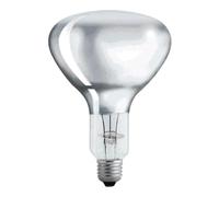 Philips IR250CH BR125 230-250V E2 Landwirtschaft. Lebensmit