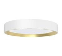 Philips LED Hanno Plafón de Techo, 24W, 2700 lm, Luz Blanca Cálida 2700K, Protección IP20, SceneSwitch, Redondo, Detalle Dorado, Color Blanco