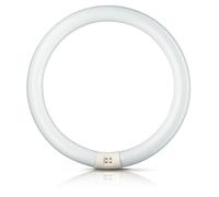 Philips Master Lámpara Fluorescente Tl-E 22W 865 Circular Super 80 G10q Aro Tubo