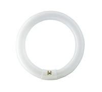 Philips Master TL-E 40W840 - Lámpara Fluorescente con Forma de Anillo (40 W)