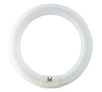 Philips Tubo fluorescente circular 32W Ø30 cm Trifósforo 840 Luz día
