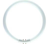 Philips MASTER TL5 Circular rund 40W 840 30.5 8711500642233