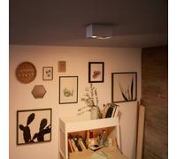 Philips myLiving foco LED Box 2 luces blanco
