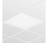 Philips Professional Panel LED RC132V G4 LED43S/840 PSD W60L60 OC