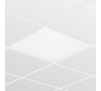 Philips Professional Panel LED RC133V G4 LED43S/840 PSD W62L62 OC