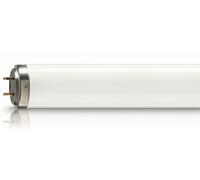Philips T8 20W MCFE Super 80 0.6M fluorescente R 8711500729569