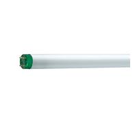 Philips Tubo Fluorescente MASTER TL-D Eco - T8, 830 Cálido - 51W - Tubo Luz