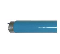 Philips Tubo Fluorescente MASTER TL-D T8 18W 590mm 180 Azul 18W Verde