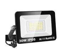 PICAA Foco LED de 30W, IP66, resistente al agua, 3000LM luz de seguridad, luz de pared exterior blanca fría de 6500K, para jardín, patio, garaje, almacén, con enchufe europeo (1 unidad)