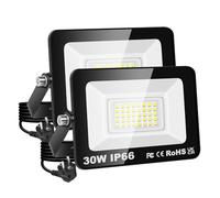PICAA Foco LED de 30W, IP66, resistente al agua, 3000LM luz de seguridad, luz de pared exterior blanca fría de 6500 K, para jardín, patio, garaje, almacén, con enchufe europeo (2 unidad)