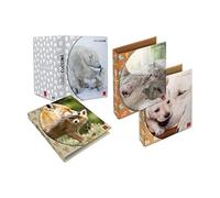 Pigna, Carpeta de anillas A4 SWEET PUPPIES, asignaturas surtidas, carpetas con anillas, organización de apuntes y/o documentos escolares, Formato 27x32 cm., 5 uds.