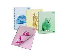 Pigna, Cuaderno con espiral con hojas de colores Colour Inside, formato 21 x 29,7 cm, 50 hojas, 80 g/m², hojas cuadriculadas 4M, paquete de 4 unidades (4 diseños en el paquete)