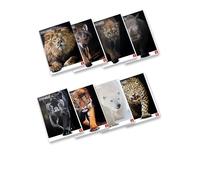Pigna, Cuaderno Maxi Animales, A4 21x29,7 cm, 80 páginas + borde de plomo, papel 80 g/m², interior 4F, cuadrado 4 mm con margen, Tapas surtidas, 10 piezas
