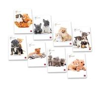 Pigna 8005235100411, Cuaderno, Multicolor, Formato A4, 42 hojas, 80 g/m², Papel rayado