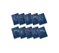 Pigna, Maxi cuaderno monocromo azul, A4, papel interior 100 g/m², páginas 72 + solapa, interior 4 m, cuadrícula 4 mm, sujetos surtidos, paquete de 10