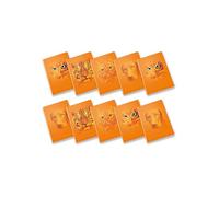 Pigna, Maxi cuaderno monocromo naranja, A4, papel interior 100 g/m², páginas 72 + solapa, interior 5 m, cuadros 5 mm, diseños surtidos, paquete de 10