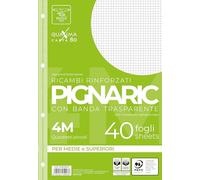 Pigna, Paquete de 40 4 agujeros, archivador, tira lateral reforzada, hojas con agujeros reforzados, tamaño A4, 21x29,7, 4M, cuadrado 4 mm.