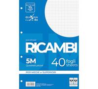 Pigna, Paquete de 40 hojas perforadas de 4 agujeros para archivar, A4, 21x29,7, hojas con agujeros sin refuerzo, 5M, cuadriculadas 5 mm.