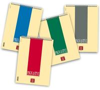 Pigna, blocs de espiral PIGNASTYL, 21x29,7, papel 80 g/m², 60 hojas, interior 1R, rayado, 10 unid.