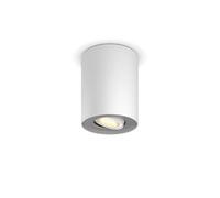 Pillar Single Spot Blanco excl. Regulador de Intensidad