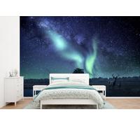 Pintura mural con motivos estelares, cielo estrellado, noche, ciervo, 4,5 m x 3 m, alta resolución, blanco y