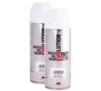 Pintyplus Evolution - Pintura en aerosol acrílica a base de disolventes, 311.8 g, múltiples aplicaciones, incluyendo madera, piedra, cartón, papel y cartón, RAL 9010 blanco puro mate