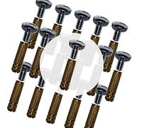 PisciHogar | Tornillos de Anclaje para Cobertor, Lona, Cubierta de Piscina | Incluye Tornillo de Acero INOX + Taco latón + “Expansor” Allen de Acero INOX | Ø 10 mm | Pack de (16 Uds)