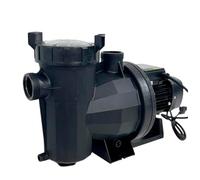 PISCINA SPA JARDÍN OCIO Bomba VPlus-Max 38773-P | Bomba para Piscina 1,0 CV Monofásica 220V/50Hz, Negro