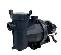 PISCINA SPA JARDÍN OCIO Bomba VPlus-Max 38781-P | Bomba para Piscina 4,0 CV Trifásica 380V/50Hz, Negro