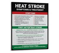 PIUHRKLEVD Heat Stroke First Aid and Symptoms Educational Poster Emergency Response Infographic Canvas Wall-Art for Workplace Training Decor(Unframed,08x12inch(20x30cm))