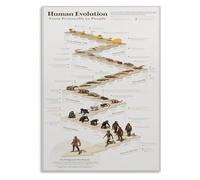 PIUHRKLEVD Vintage Science Decor Metal Sign Human Evolution Timeline Chart Biology Educational Guide for Teachers Office Home Art 8 X 12 in