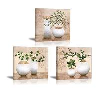 Piy Painting 3X Cuadro sobre Lienzo Imagen de Plantas Verdes Elegantes en Botellas de jarrón Canvas Wall Art de la Lona Arte de Pared Listo para Colgar con Sala Comedor Cocina 30x30cm