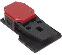 Pizzato Elettrica FU SCHALTER, IP65, Rot 2NO+2NC