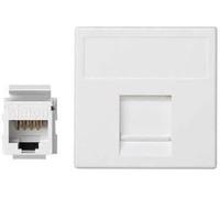 PL K45 V&D PLANA C/GUARDAP CON 1 CONECTOR CAT6 UTP
