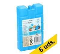 Placa de hielo reutilizable de 400 ml para nevera portátil | Pack 6 uds