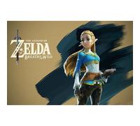 Placas Decorativas Vintage videojuegos, Legend of Zelda, Breath of the Wild, Metálica 20x30 cm - Ideal para Cocina, Salón y Habitaciones, Interior Casa. Perfecta para decoración de Hogar, Bar, Garage,
